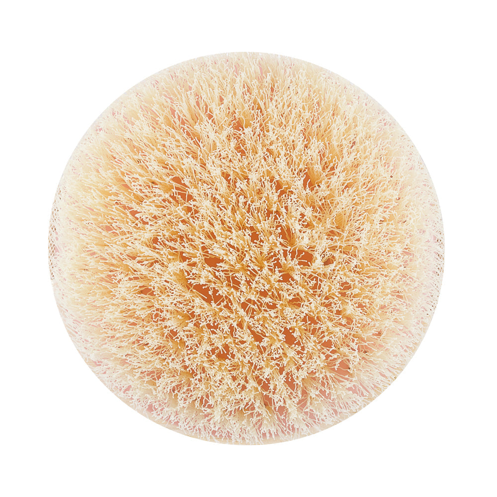 Dry Brush