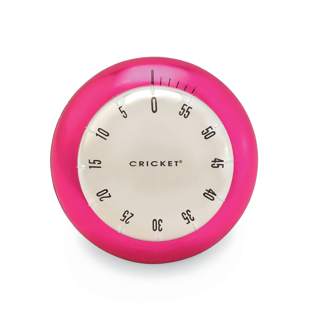 Cricket Colour Me Timer - Silver